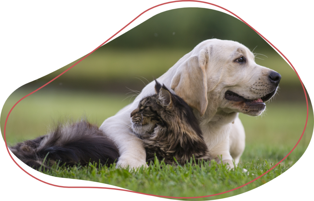 Global Pet Foods Riverbend